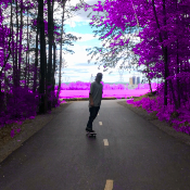 cct_ftp187