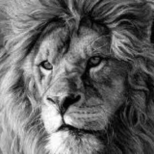 h7aytham