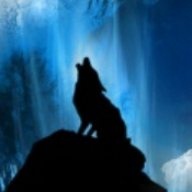 ShadowWolf32387